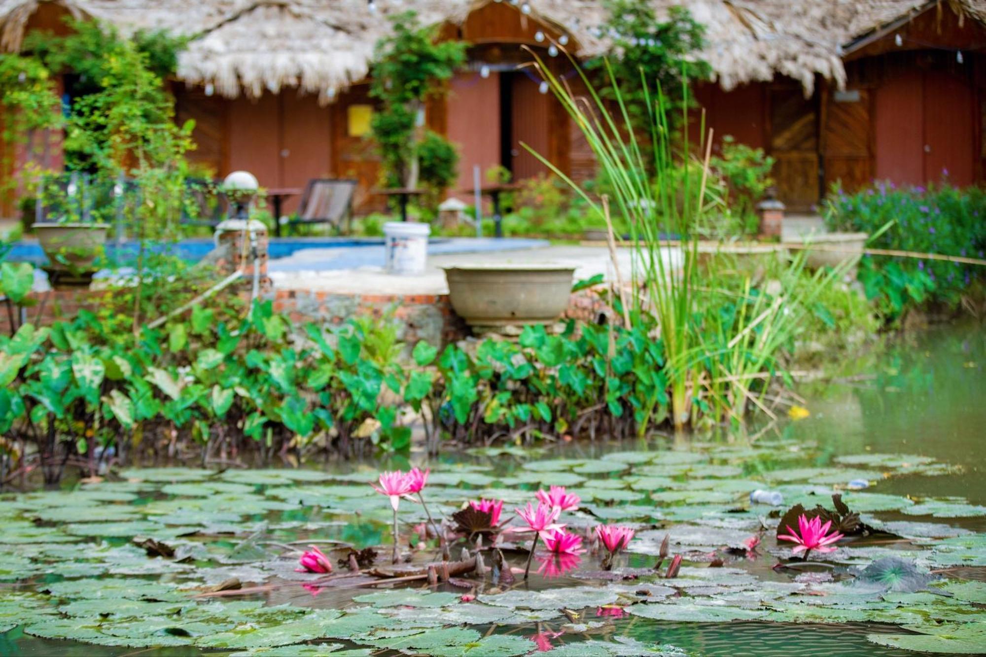 Trang An Passion Homestay ニンビン エクステリア 写真